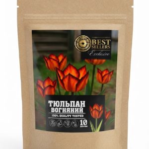 Цибулини Вогняного тюльпану 10шт