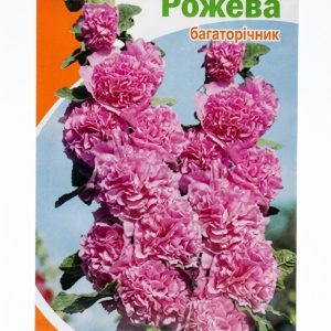 Мальва махрова висока Рожева (багаторічник)