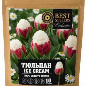 Цибулини тюльпану 