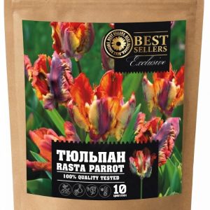Тюльпан Rasta Parrot 10шт