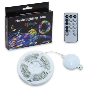 Світлодіодна музична гірлянда «Роса» 100LED