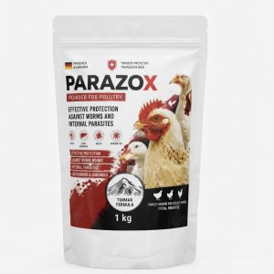 Порошок Parazox